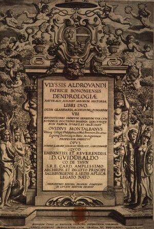 Dendrologia.jpg